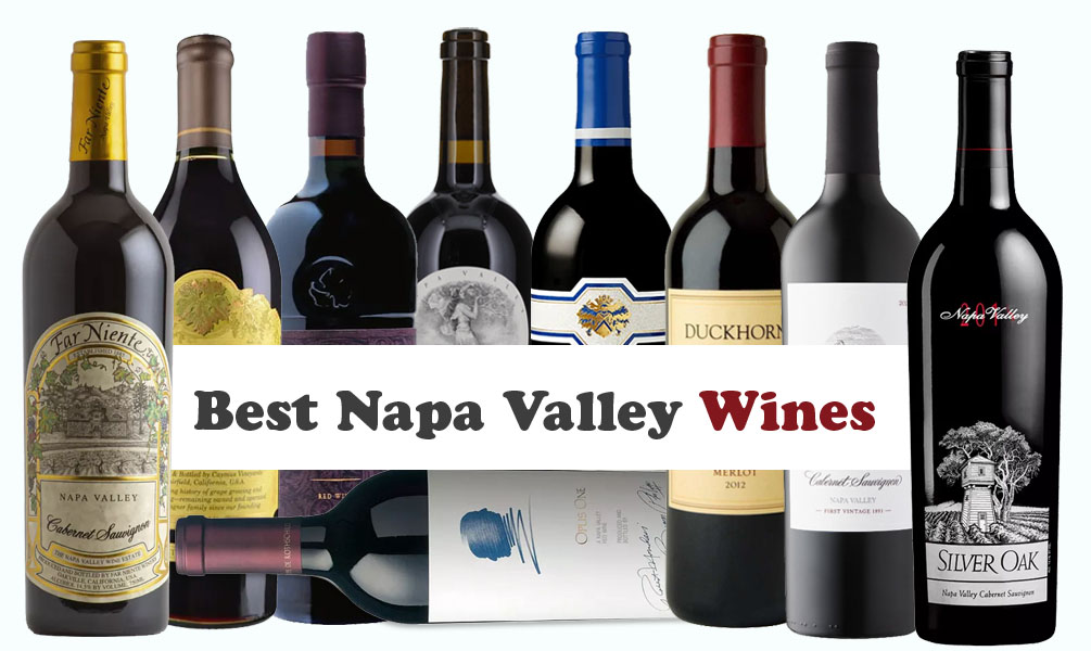 Best Napa Valley Wines: Handpicked Selections For Every Occasion & Budget
