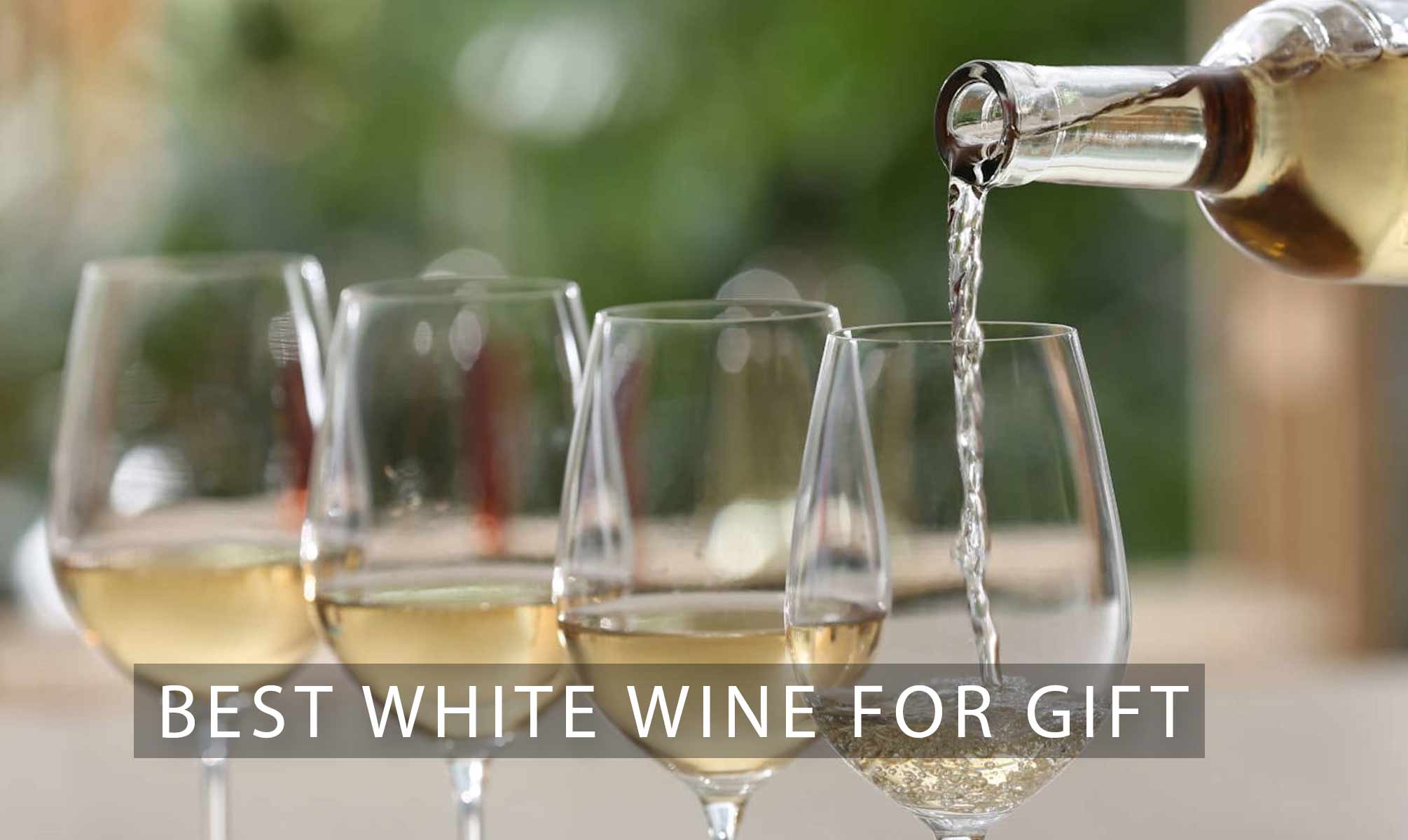 Best White Wine For Gift - Top Recommendations From Chardonnay to Sauvignon Blanc and More