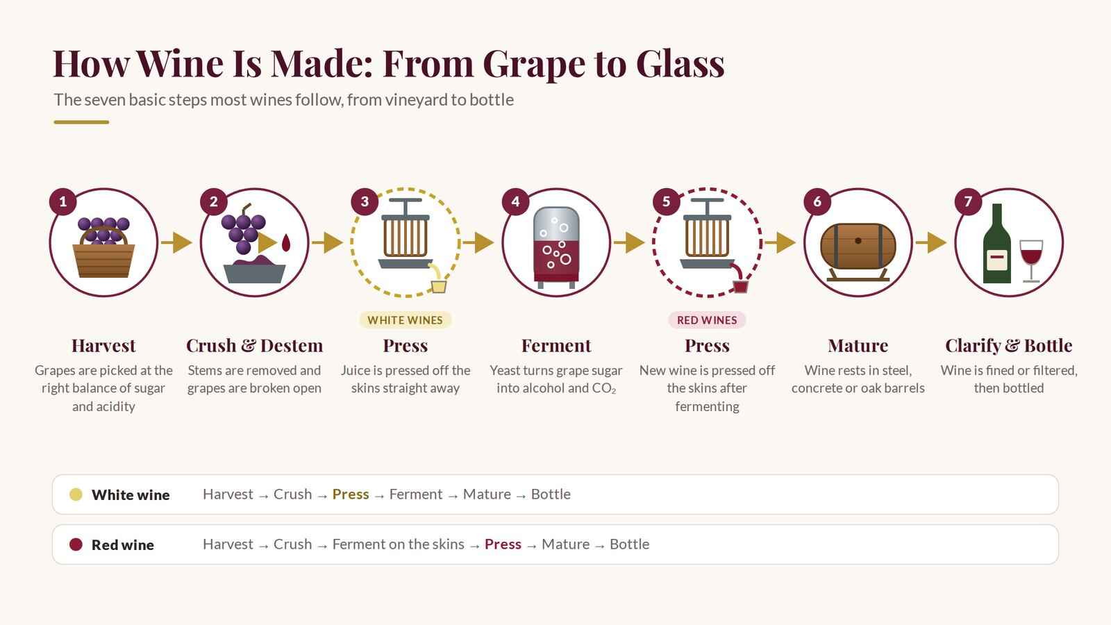 How wine is made: harvest, crush, press, ferment, mature, clarify and bottle