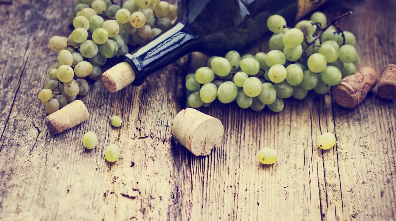 recork wine bottle