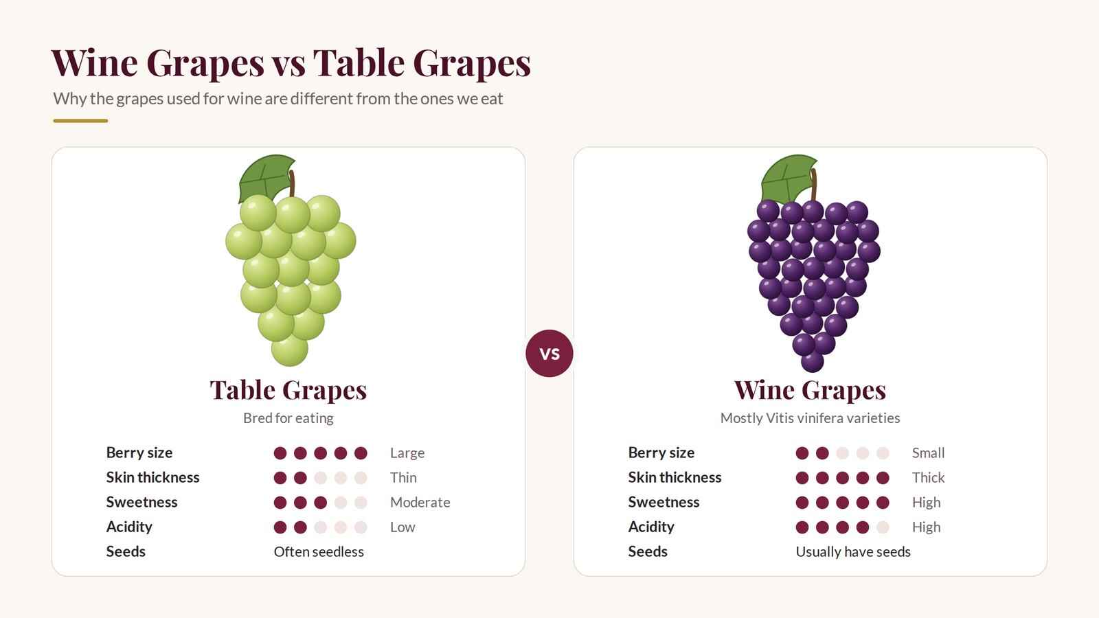 Wine grapes vs table grapes: wine grapes are smaller, sweeter and thicker-skinned, with seeds
